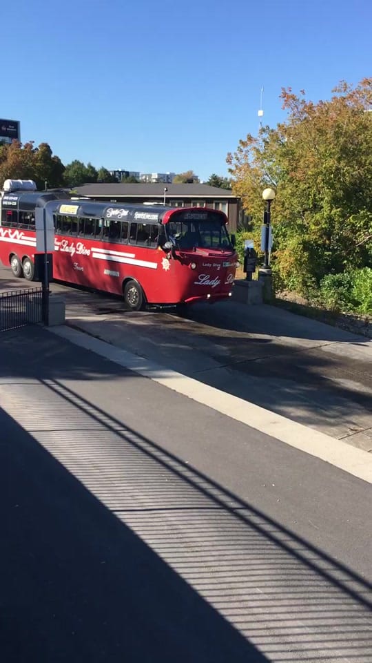 Post 8 by Montréalais on TikTok (video)