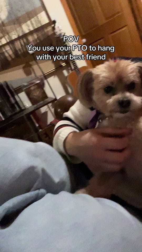 Post 5 by Mary, SEP | Director & Actor on TikTok (video)