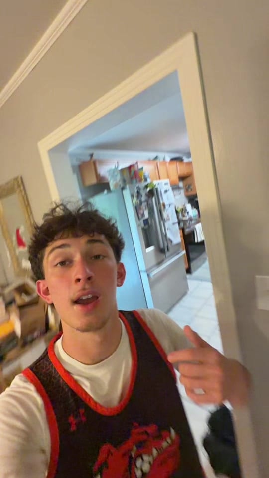 Post 1 by 𝑝𝑒𝑡𝑒✪ on TikTok (video)