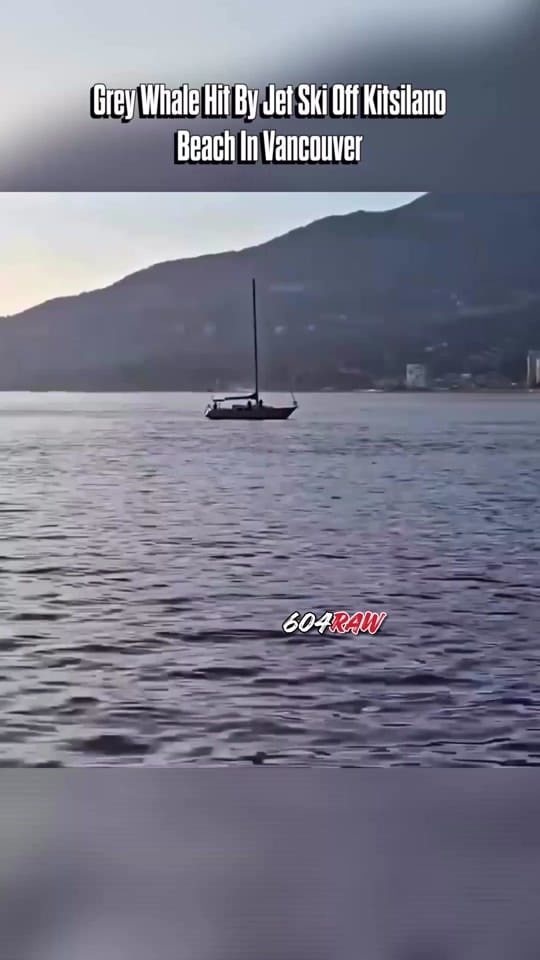 Post 1 by 604RAW🥩 on TikTok (video)