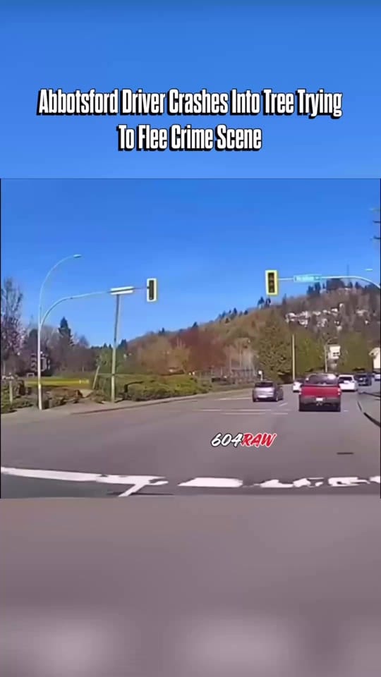 Post 5 by 604RAW🥩 on TikTok (video)