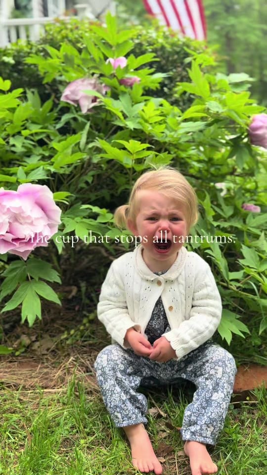 Post 10 by Jennifer McCoy on TikTok (video)