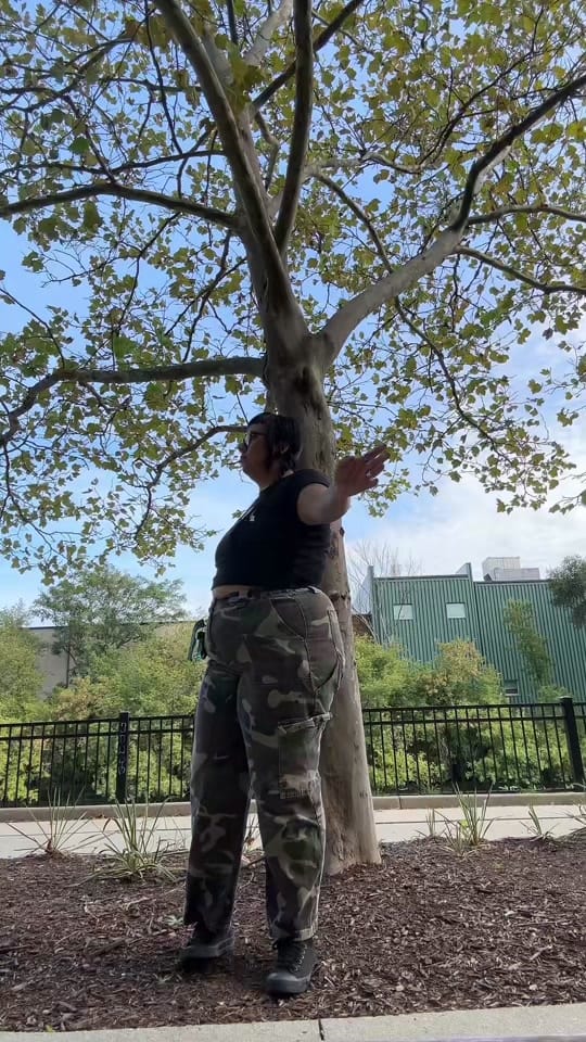Post 2 by MYSTHIQ on TikTok (video)