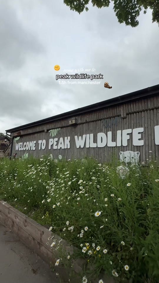 Post 2 by chloe | uk ugc creator ✨🖤⚔️ on TikTok (video)