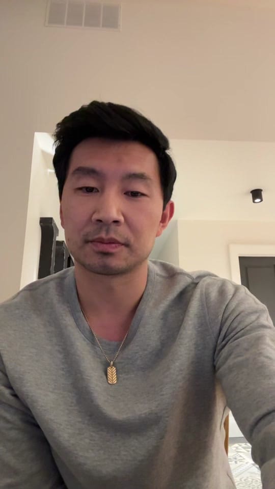 Post 8 by Simu Liu on TikTok (video)