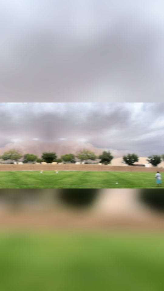 Post 5 by Gabby Colin on TikTok (video)