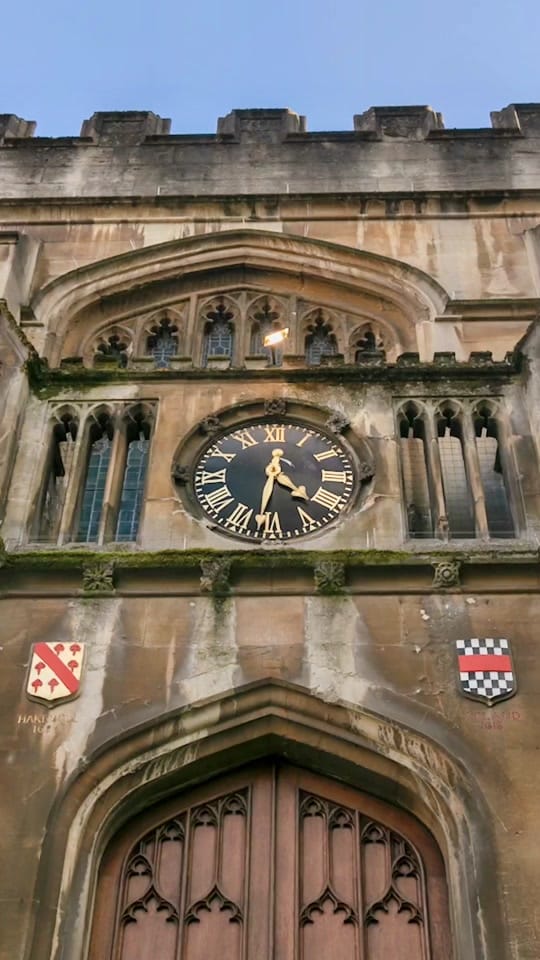 Post 10 by University of Oxford on TikTok (video)