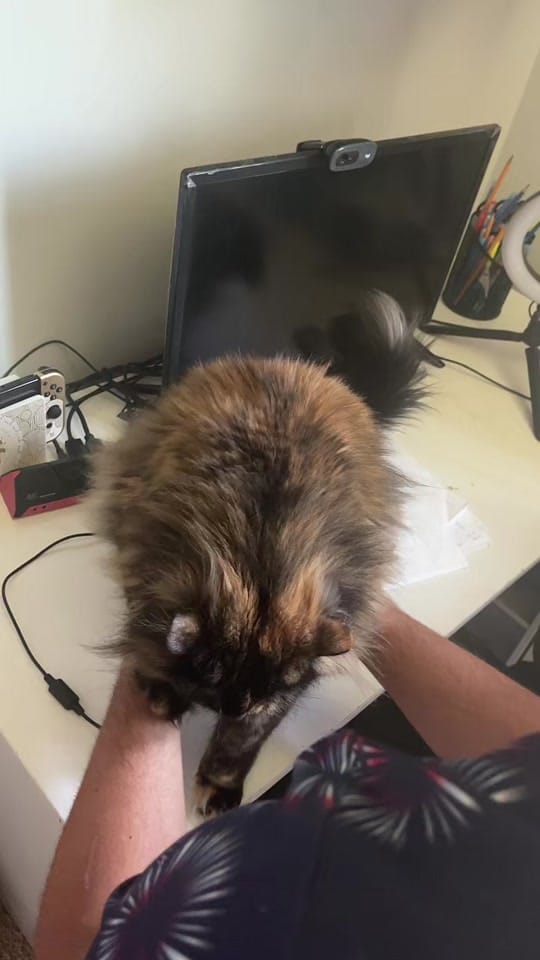 Post 5 by okcouurt on Twitch on TikTok (video)