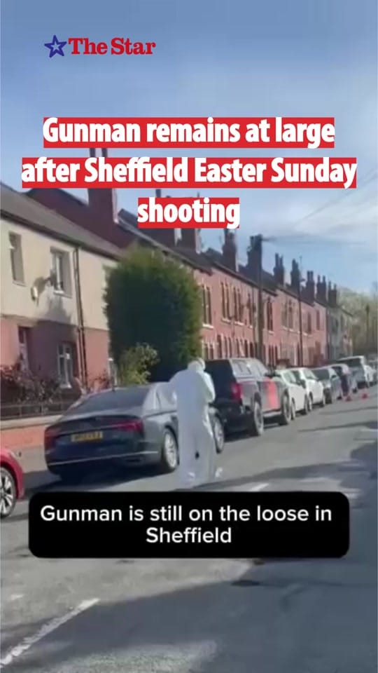 Post 7 by The Sheffield Star ⭐ on TikTok (video)