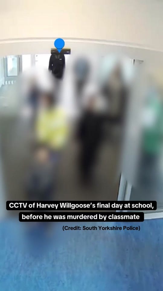Post 10 by The Sheffield Star ⭐ on TikTok (video)