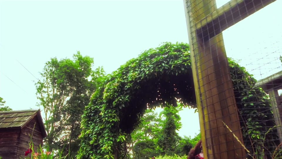 Post 1 by Lyrik London on TikTok (video)