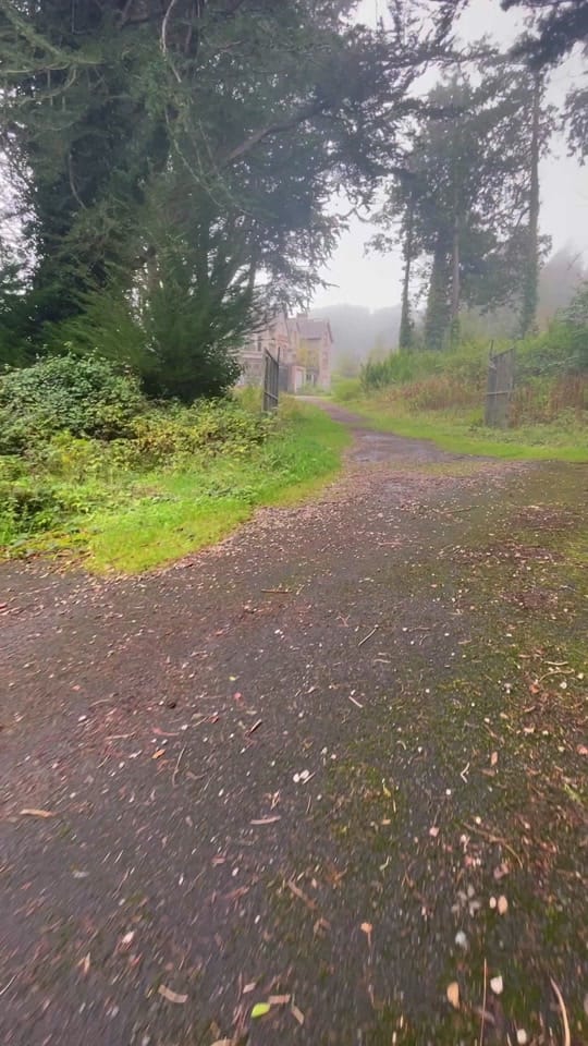 Post 8 by AbandonedNi on TikTok (video)