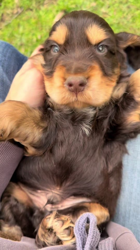 Post 8 by HattieTok on TikTok (video)