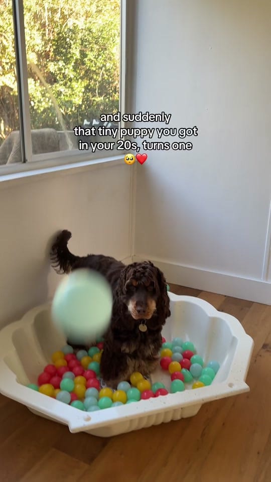 Post 4 by HattieTok on TikTok (video)