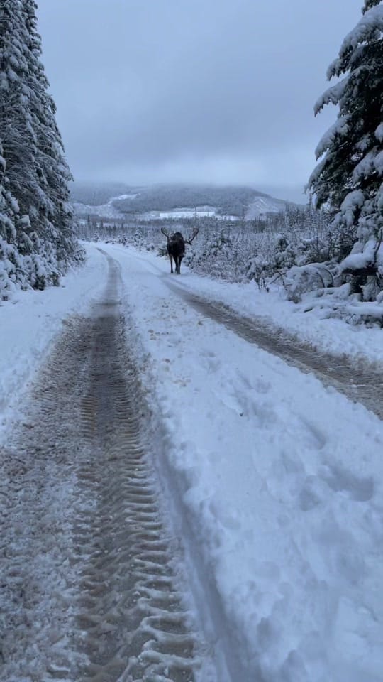 Post 9 by 📸 J_B_Aoskway on TikTok (video)