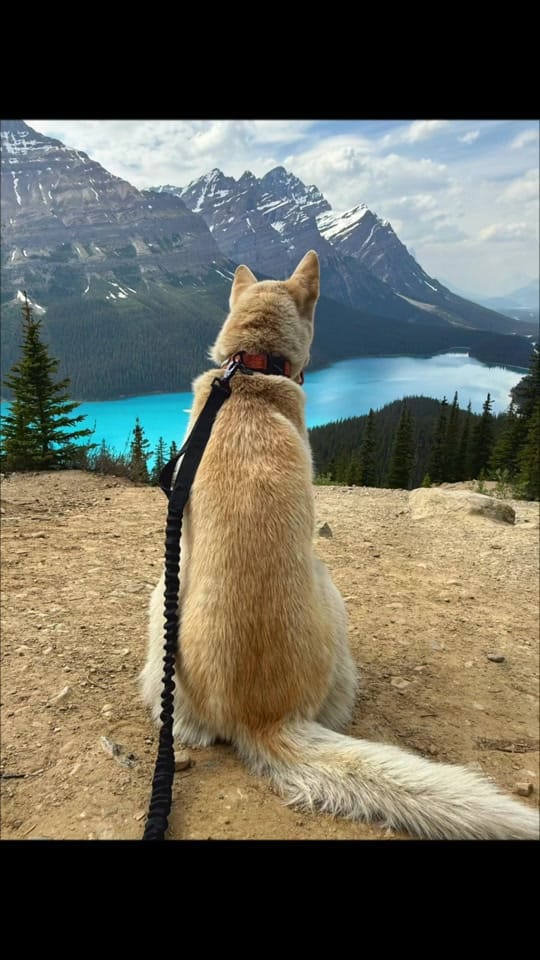 Post 6 by 📸 J_B_Aoskway on TikTok (video)