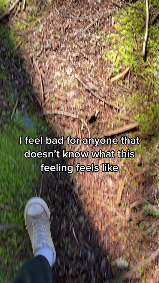 Post 10 by Abandoned_VanIsland_ on TikTok (video)