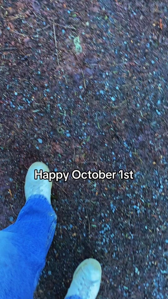 Post 6 by Abandoned_VanIsland_ on TikTok (video)