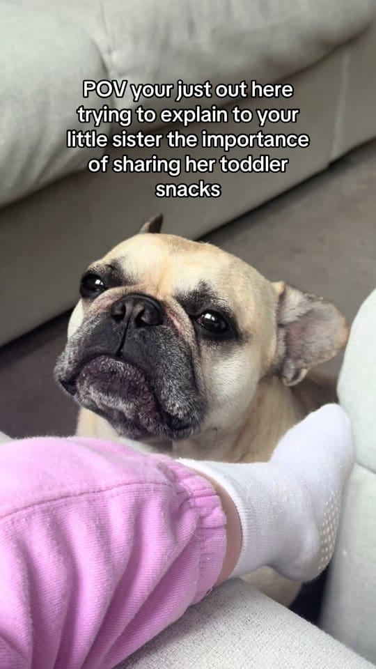 Post 5 by Charlotte Haining on TikTok (video)