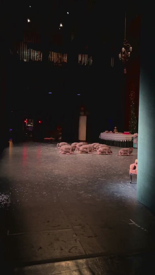 Post 10 by Alberta Ballet on TikTok (video)