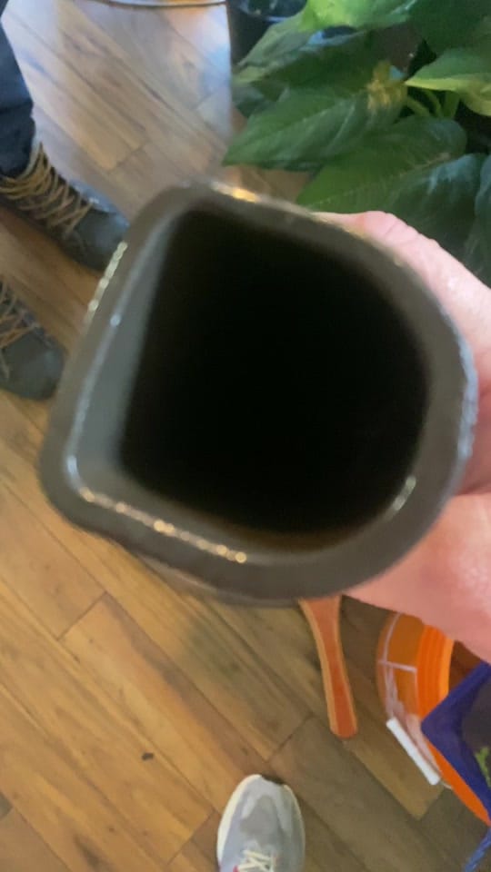 Post 9 by northern_fishkeeper🇨🇦 on TikTok (video)