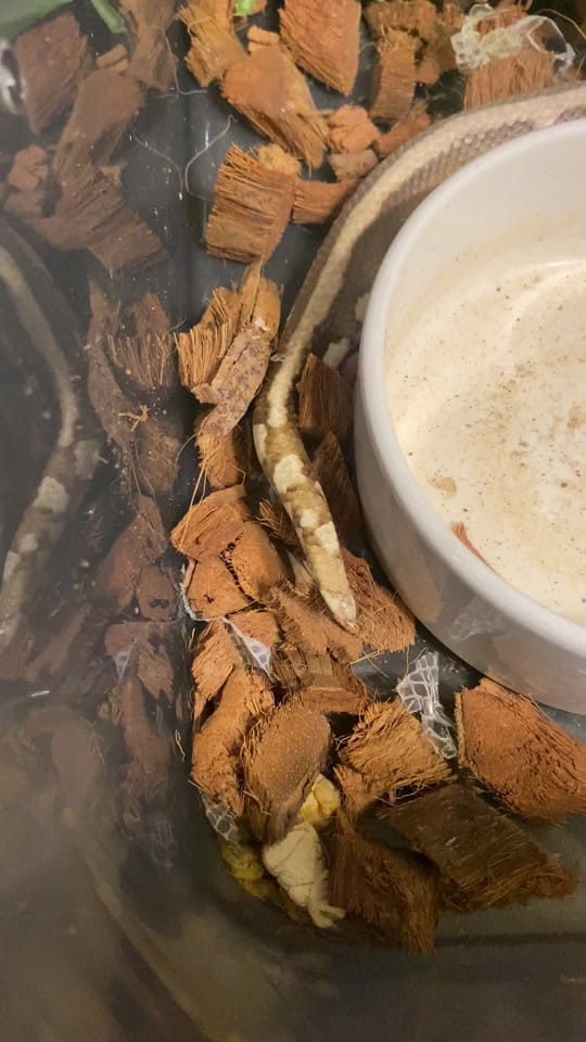 Post 5 by northern_fishkeeper🇨🇦 on TikTok (video)