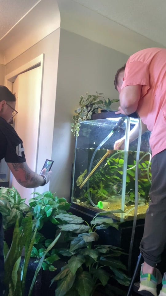 Post 6 by northern_fishkeeper🇨🇦 on TikTok (video)