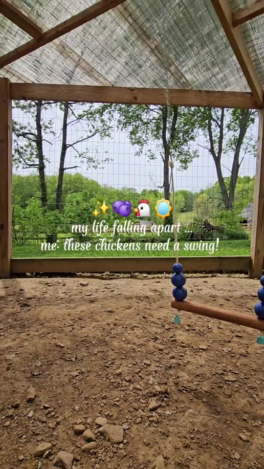 Post 6 by Stef 🥐🌾🐴 on TikTok (video)