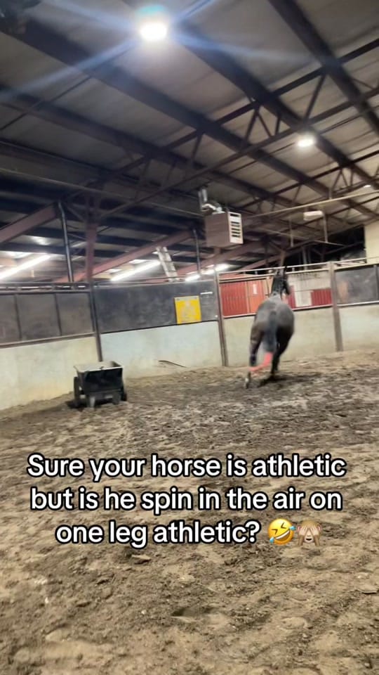 Post 10 by kass 🖤 BRYK BARREL HORSES 🏁 on TikTok (video)