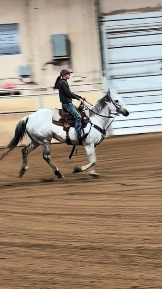 Post 6 by kass 🖤 BRYK BARREL HORSES 🏁 on TikTok (video)