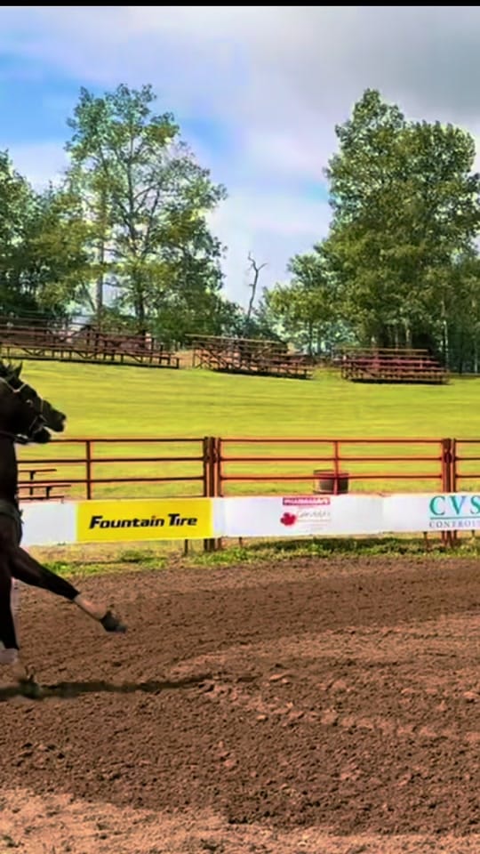 Post 1 by kass 🖤 BRYK BARREL HORSES 🏁 on TikTok (video)