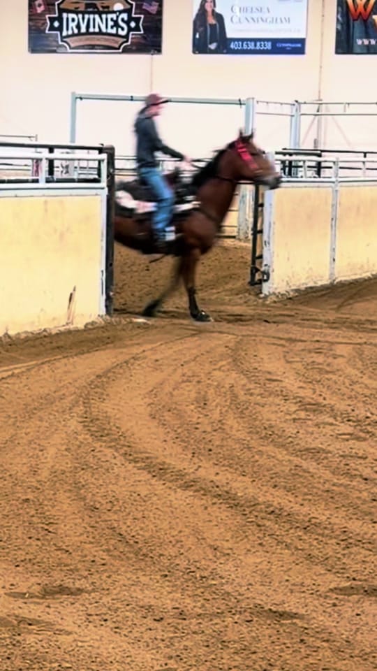 Post 7 by kass 🖤 BRYK BARREL HORSES 🏁 on TikTok (video)