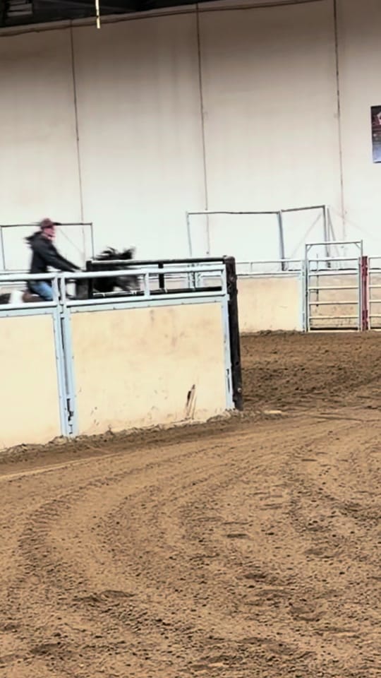 Post 5 by kass 🖤 BRYK BARREL HORSES 🏁 on TikTok (video)