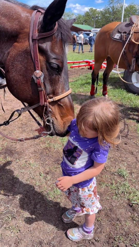 Post 3 by kass 🖤 BRYK BARREL HORSES 🏁 on TikTok (video)