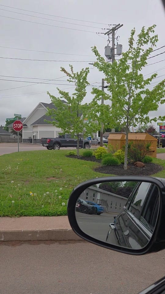 Post 3 by Devon on TikTok (video)