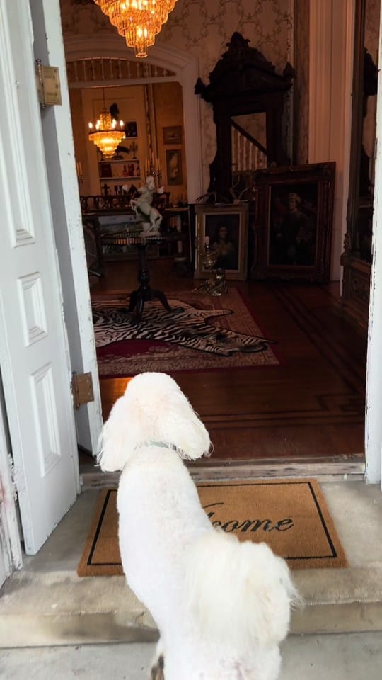 Post 4 by Nate | Stay at Mansion Husband on TikTok (video)