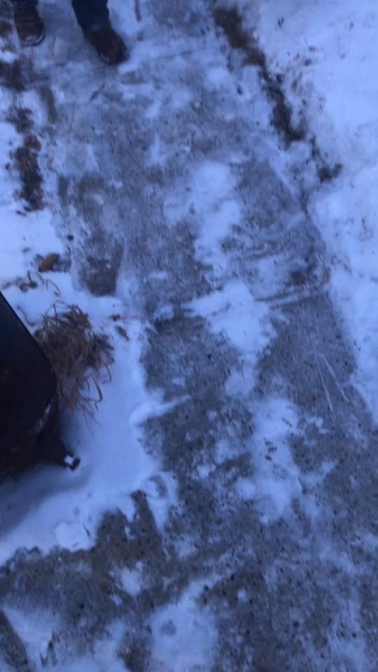 Post 2 by Ceilidh on TikTok (video)