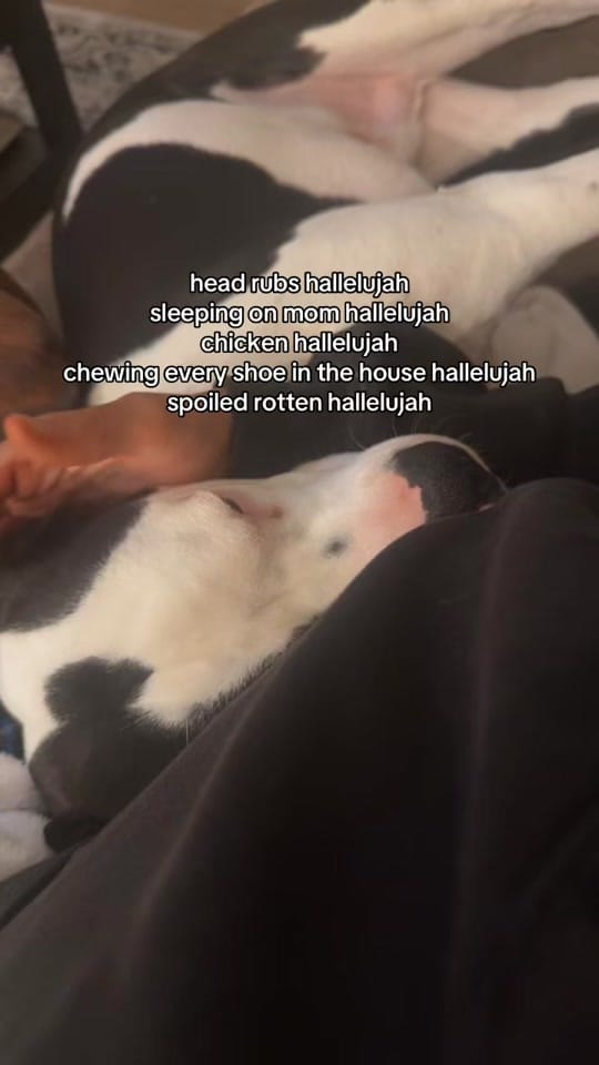 Post 6 by AaLaiah Kendal on TikTok (video)
