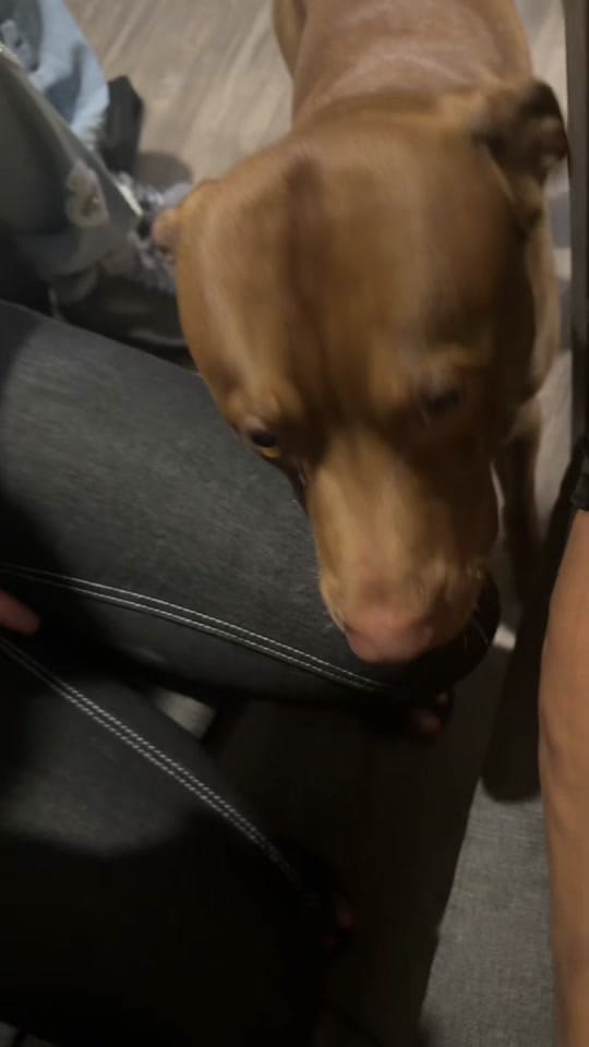 Post 2 by Jmonaaay_ on TikTok (video)