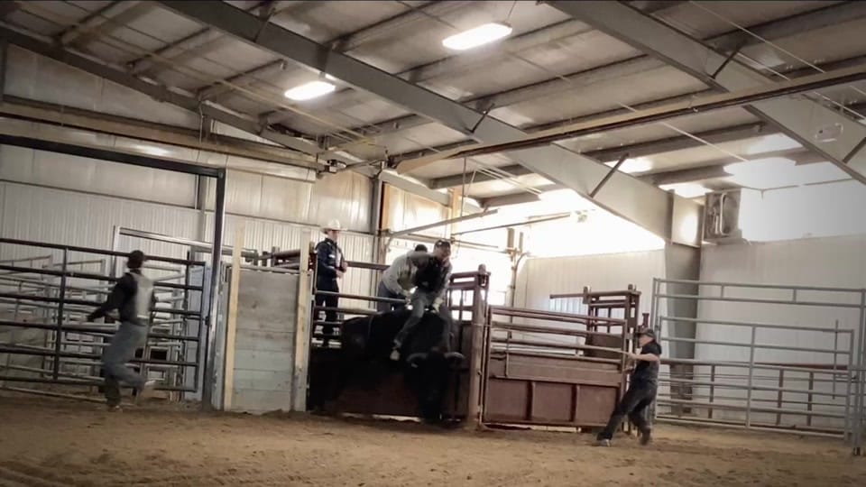 Post 2 by TannerByrne_nfpPodcast on TikTok (video)