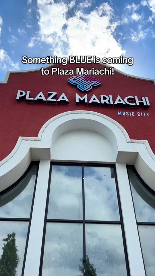 Post 8 by Plaza Mariachi on TikTok (video)