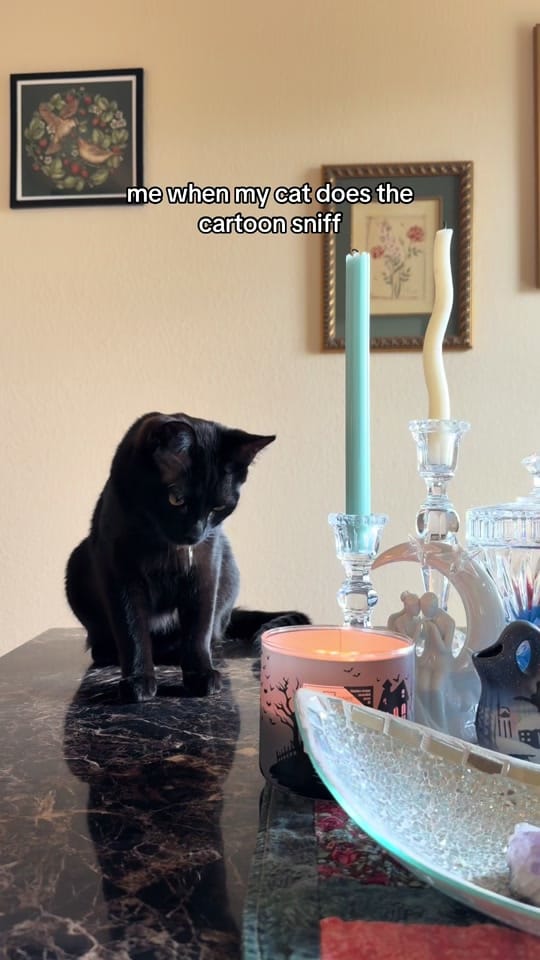 Post 5 by Ash Thomson🌛🌞 on TikTok (video)