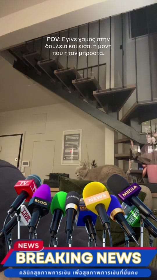 Post 2 by Danae Pappa on TikTok (video)