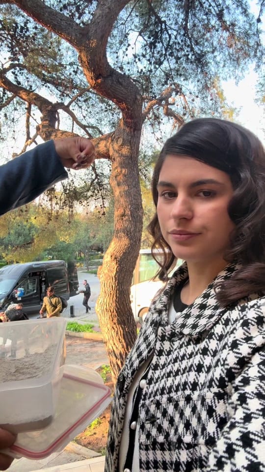 Post 10 by Danae Pappa on TikTok (video)