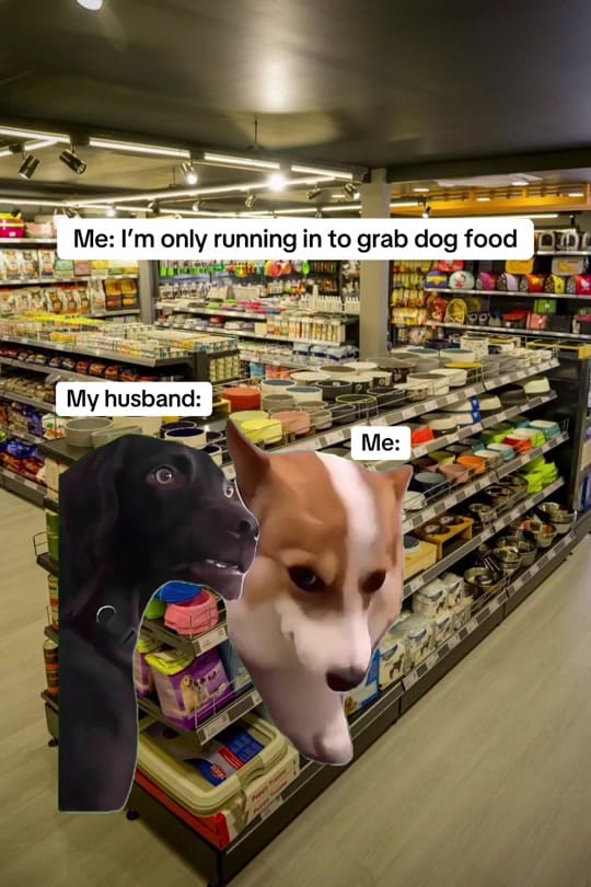 Post 9 by Life With Goldens on TikTok (video)