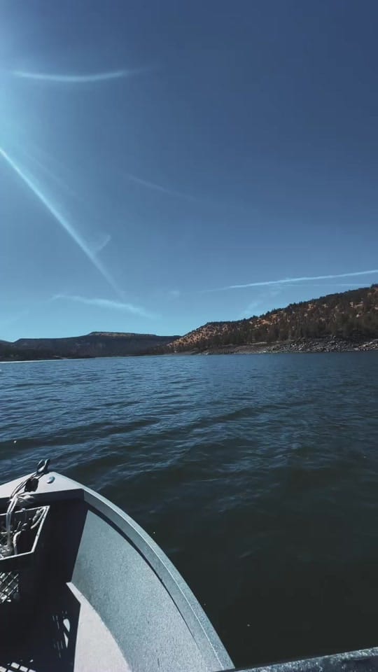 Post 8 by Ryan Willison on TikTok (video)