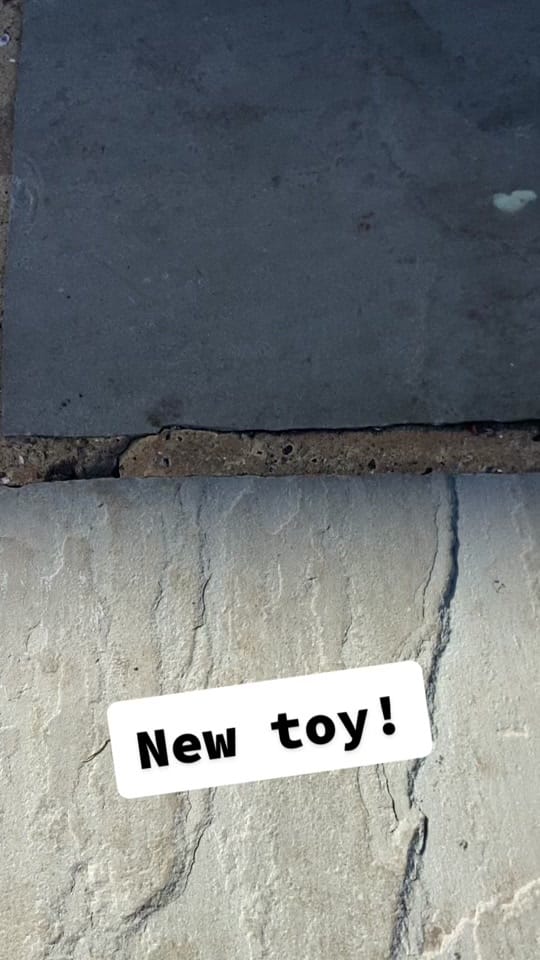 Post 10 by TigerClean on TikTok (video)