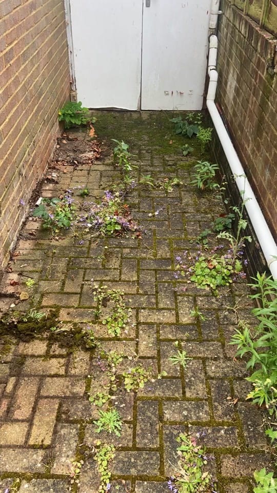 Post 4 by TigerClean on TikTok (video)