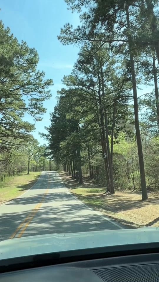 Post 10 by Sharon Jo on TikTok (video)