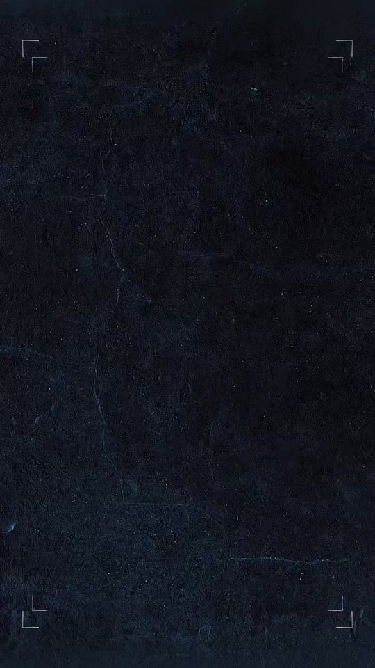 Post 3 by Olivia LaVoice on TikTok (video)